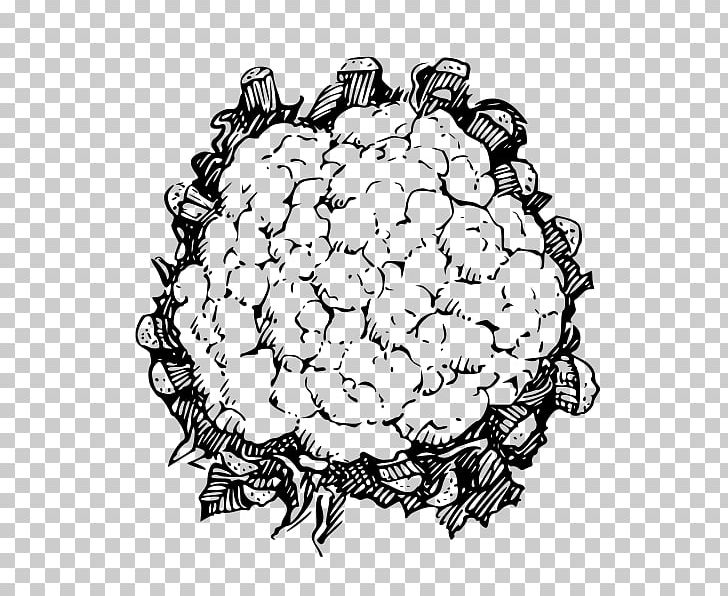 Line Art Drawing Cauliflower PNG, Clipart, Black And White, Cauliflower, Circle, Download, Drawing Free PNG Download