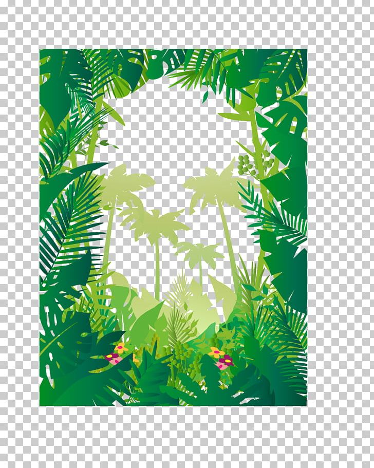 Jungle Tropics PNG, Clipart, Background Green, Border, Branch, Drawing, Fir Free PNG Download