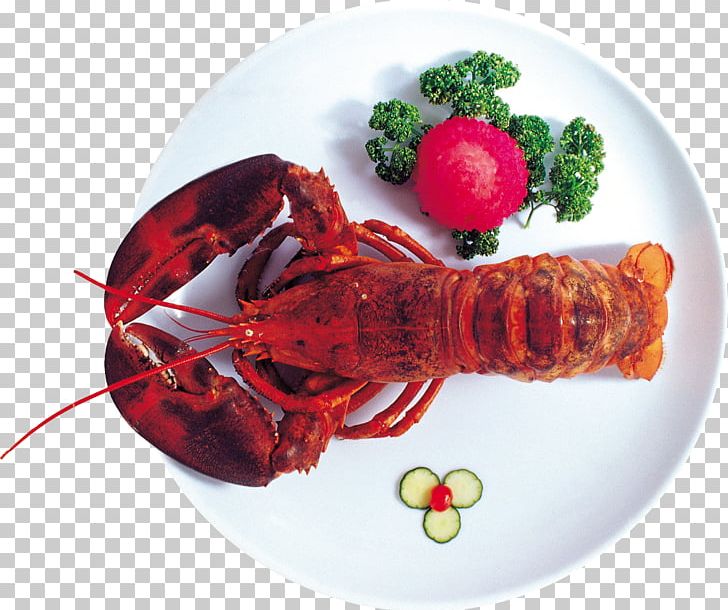 Lobster Crayfish As Food Seafood Palinurus Elephas PNG, Clipart, Animals, Animal Source Foods, Claws, Crayfish As Food, Decapoda Free PNG Download