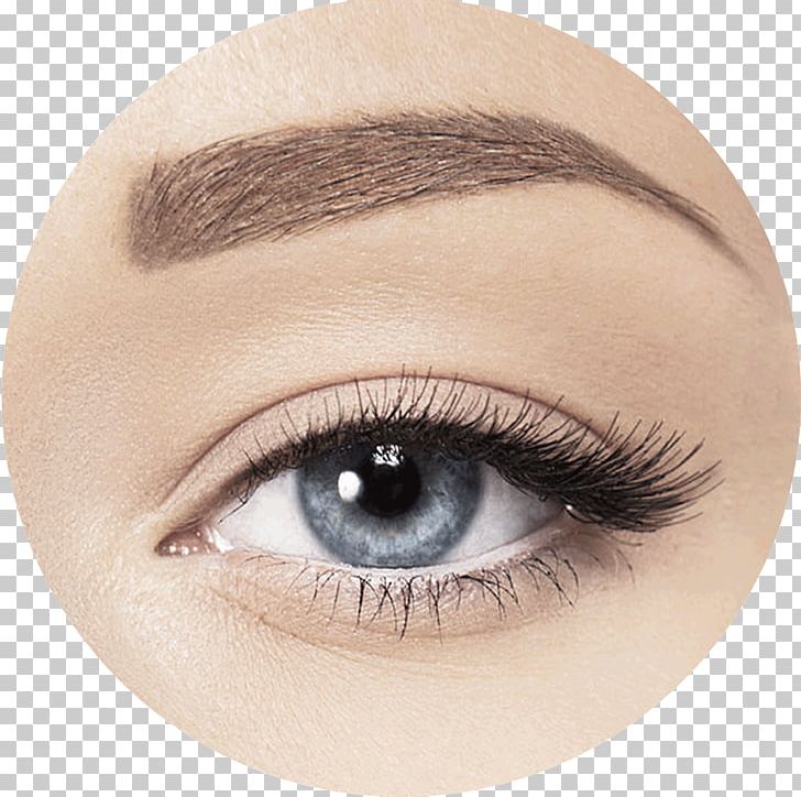 Eyebrow Eye Liner Photography PNG, Clipart, Cheek, Closeup, Cosmetics, Eye, Eyebrow Free PNG Download