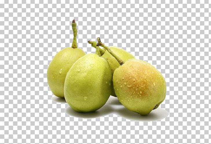 Pear Fruit Avocado Food Apple PNG, Clipart, Apple Pears, Avocado, Citrus, Fruit, Fruit Nut Free PNG Download