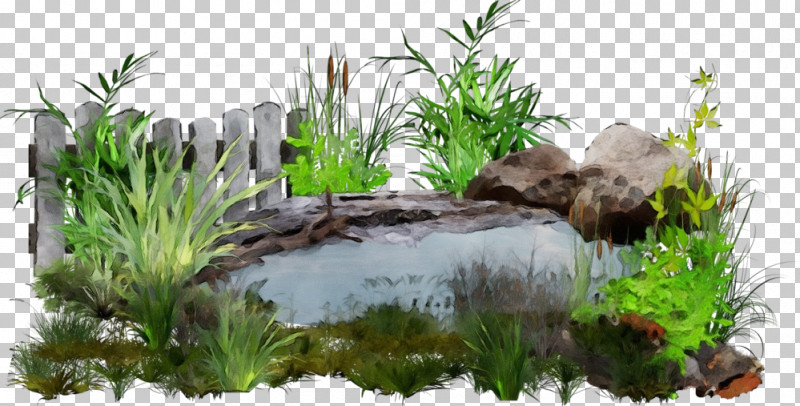 Nature Vegetation Pond Grass Natural Landscape PNG, Clipart, Grass, Landscape, Natural Landscape, Nature, Paint Free PNG Download