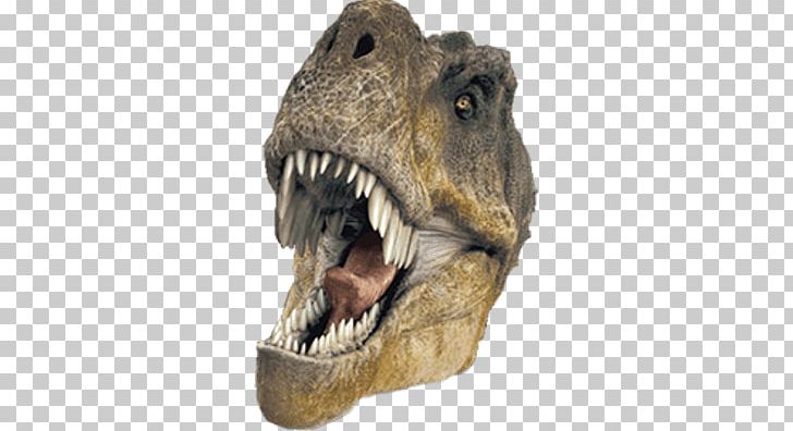 Dinosaurs Alive! Earth Film IMAX PNG, Clipart, Bayley Silleck, Cinema, David Clark, Dinosaur, Dinosaurs Alive Free PNG Download
