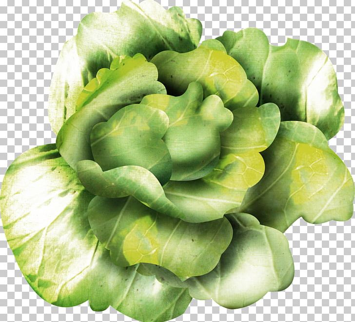 Leaf Vegetable Cruciferous Vegetables Brassica Oleracea Spring Greens PNG, Clipart, Berry, Brassica Oleracea, Commodity, Cruciferous Vegetables, Cucumber Free PNG Download