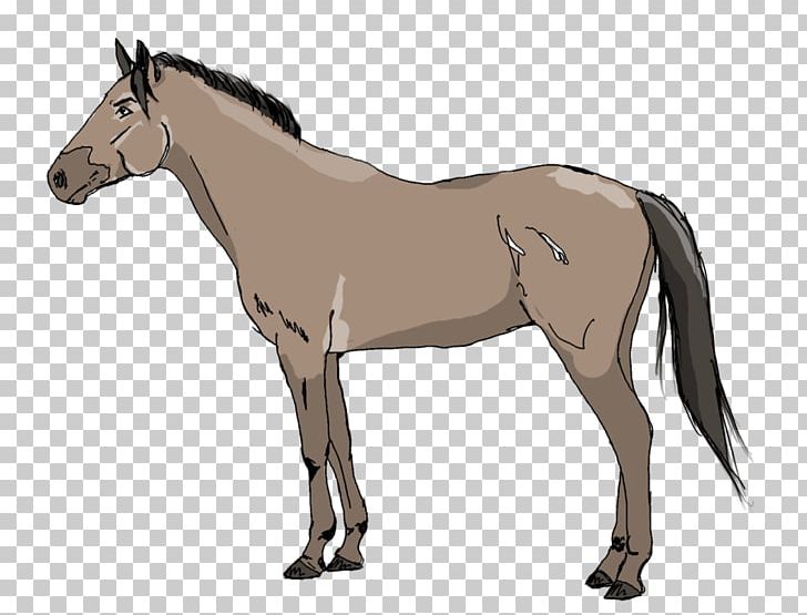 Mule Pony Foal Mustang Stallion PNG, Clipart, Animal, Arrakis, Bridle, Colt, Donkey Free PNG Download