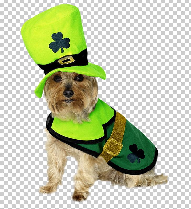 Saint Patrick's Day Dog Clothing Costume Dress PNG, Clipart, Clothing, Companion Dog, Costume, Dog, Dog Breed Free PNG Download