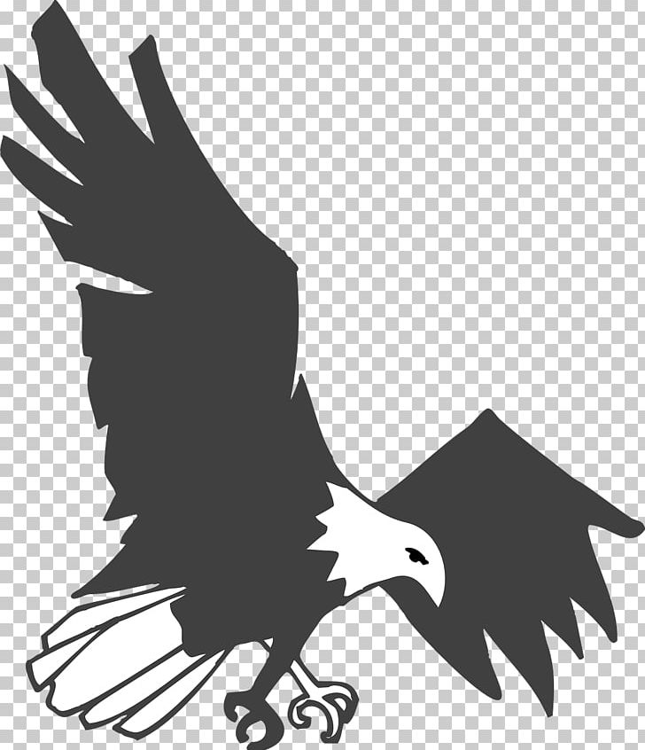 Bald Eagle Bird Open PNG, Clipart, Accipitriformes, Animals, Bald Eagle, Beak, Bird Free PNG Download