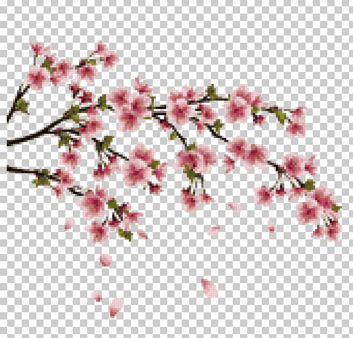 Cherry Blossom Wall Decal Branch PNG, Clipart, Blossom, Branch, Cherry, Cherry Blossom, Cherry Tree Free PNG Download