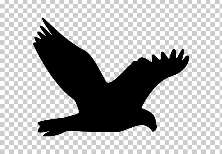 Computer Icons Icon Design PNG, Clipart, Beak, Bird, Bird Of Prey, Black And White, Computer Icons Free PNG Download