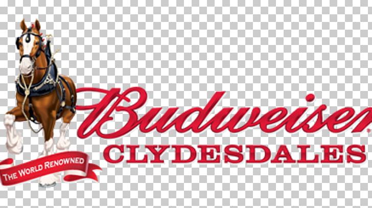Clydesdale Horse Budweiser Clydesdales Anheuser-Busch Prohibition In The United States PNG, Clipart, Advertising, Anheuserbusch, Anheuserbusch, Brand, Budweiser Free PNG Download