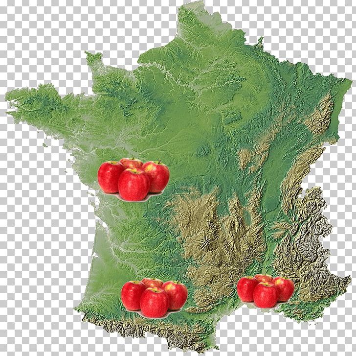 Île-de-France Map Alps Regions Of France PNG, Clipart, Alps, Departments Of France, France, Fruit, Geography Free PNG Download