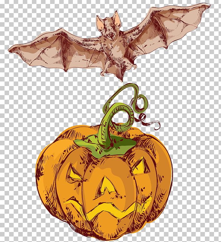 Pumpkin Calabaza Halloween Winter Squash PNG, Clipart, Animal, Bat, Bats, Calabaza, Cartoon Free PNG Download