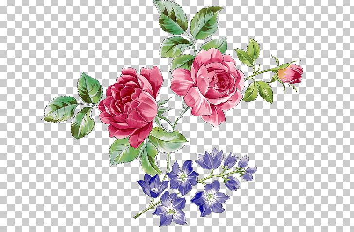 Beach Rose Flower Drawing PNG, Clipart, Artificial Flower, Color, Cut Flowers, Decoupage, Download Free PNG Download
