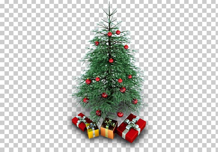 Fir Evergreen Christmas Decoration Pine Family Tree PNG, Clipart, Christmas, Christmas And Holiday Season, Christmas Decoration, Christmas Ornament, Christmas Tree Free PNG Download