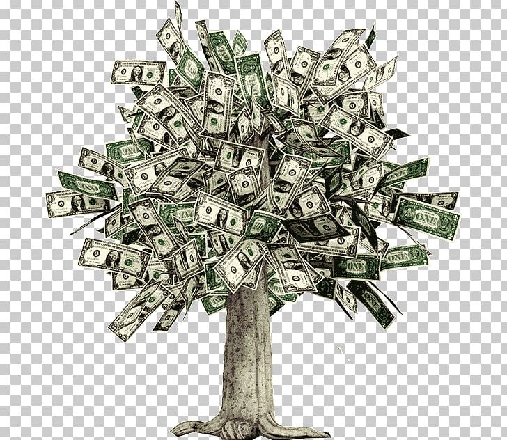 Moneytree Guiana Chestnut Money Trees Bank Account PNG, Clipart, Bank, Bank Account, Cash, Coin, Currency Free PNG Download