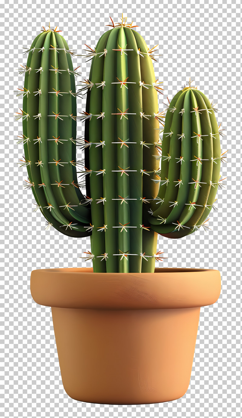 Cactus In Pot - Potted Green Cactus Illustration PNG