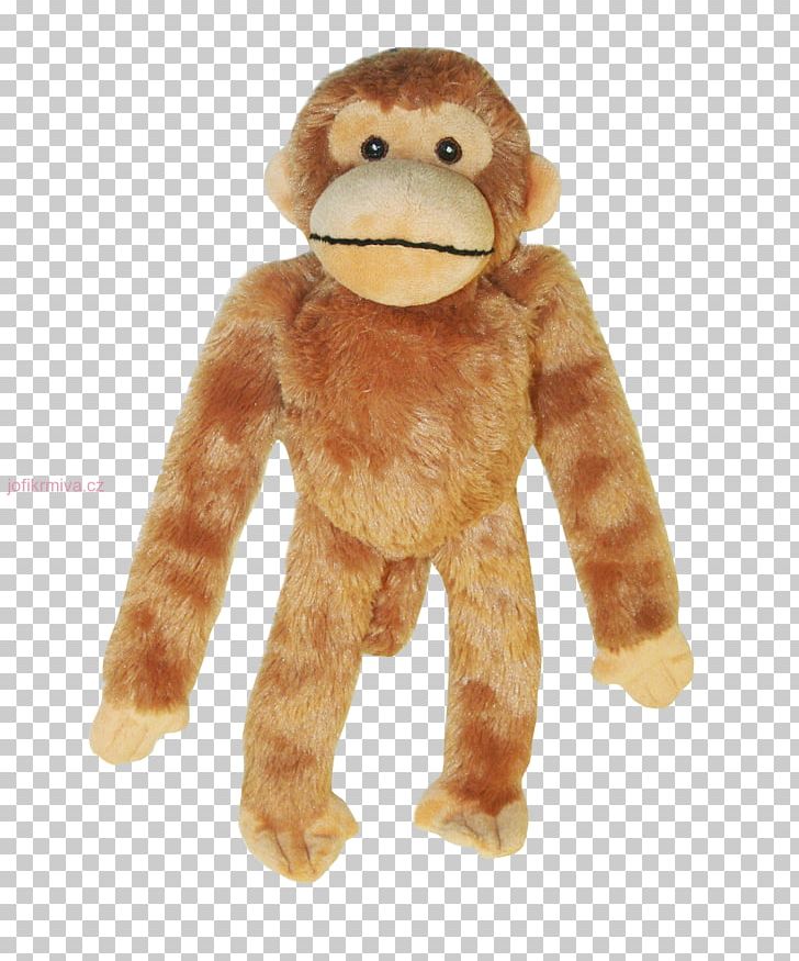 Dog Common Chimpanzee Stuffed Animals & Cuddly Toys Plush Monkey PNG, Clipart, Animal, Animals, Breed, Chimpanzee, Common Chimpanzee Free PNG Download