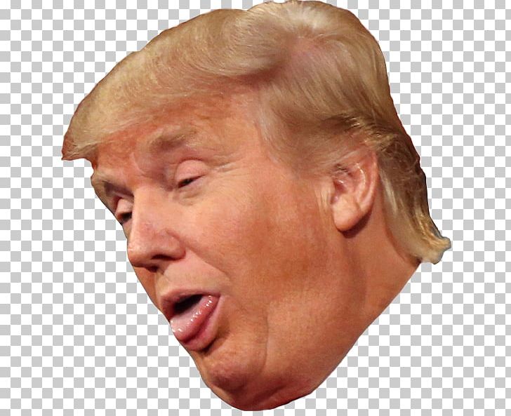 Donald Trump President Of The United States Democratic Party The Trump Organization PNG, Clipart, Bad Lip Reading, Celebrities, Cheek, Chin, Democratic Party Free PNG Download