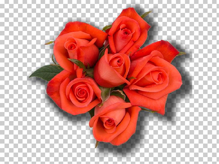 Garden Roses Cut Flowers Rosaceae PNG, Clipart, Artificial Flower, Cut Flowers, Floral Design, Floribunda, Floristry Free PNG Download
