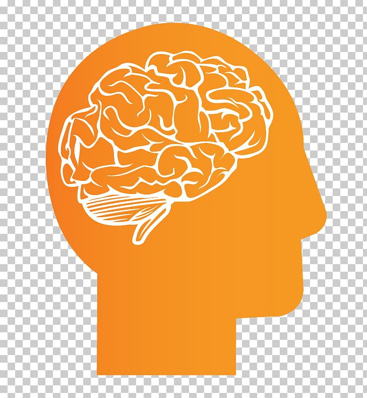 Human Brain Cortechs Labs Computer Icons Development Of The Nervous System PNG, Clipart, Anatomy, Brain, Cerebral Atrophy, Computer Icons, Cortechs Labs Free PNG Download