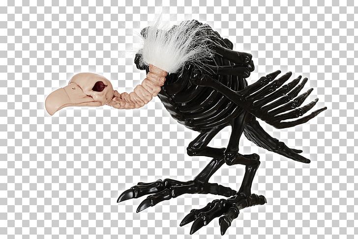 Turkey Vulture Skeleton Bone Skull PNG, Clipart, Accipitridae, Animal Figure, Bearded Vulture, Bird, Black Vulture Free PNG Download