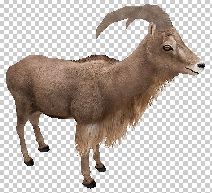 Zoo Tycoon 2 Barbary Sheep Goat Argali PNG, Clipart, African Bush Elephant, African Lion, Animal, Animals, Antelope Free PNG Download