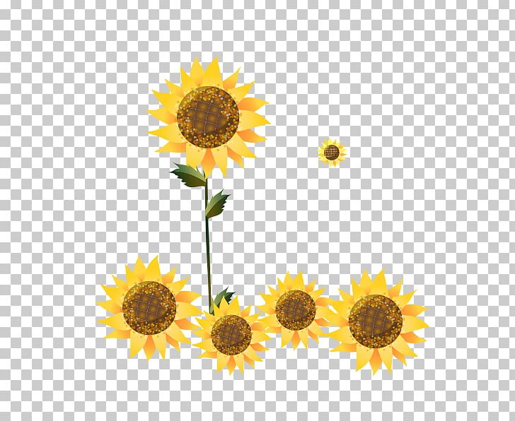 Common Sunflower Cartoon Illustration PNG, Clipart, Art, Child, Daisy Family, Flower, Flowers Free PNG Download