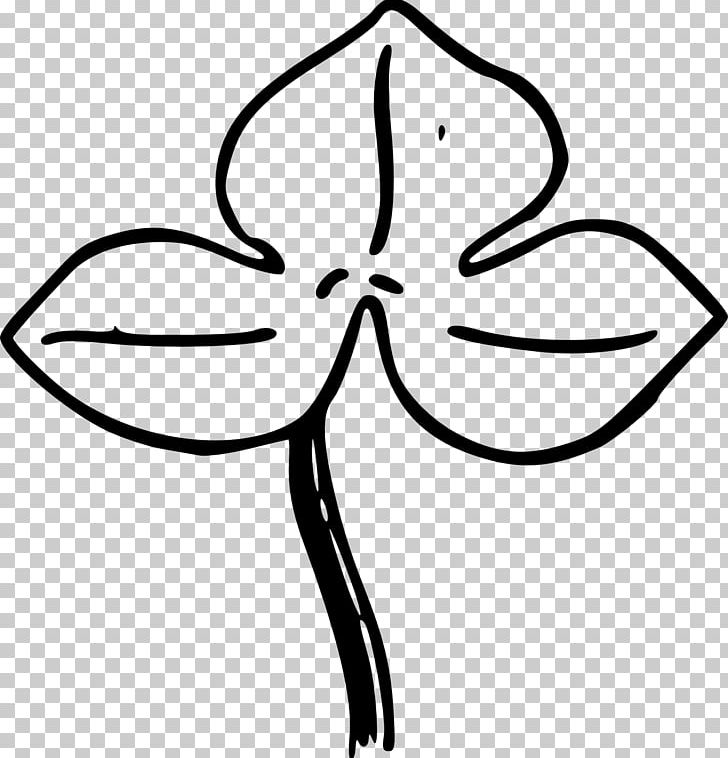 Leaf Drawing PNG, Clipart, Area, Artwork, Black, Black And White, Cut Flowers Free PNG Download