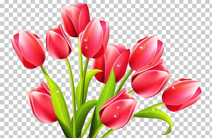 Portable Network Graphics Flower Tulip Encapsulated PostScript PNG, Clipart, Bud, Cut Flowers, Download, Drawing, Encapsulated Postscript Free PNG Download