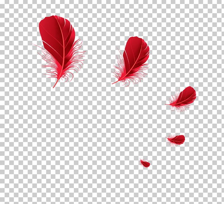 The Floating Feather Red Euclidean PNG, Clipart, Animals, Color, Creative, Download, Element Free PNG Download