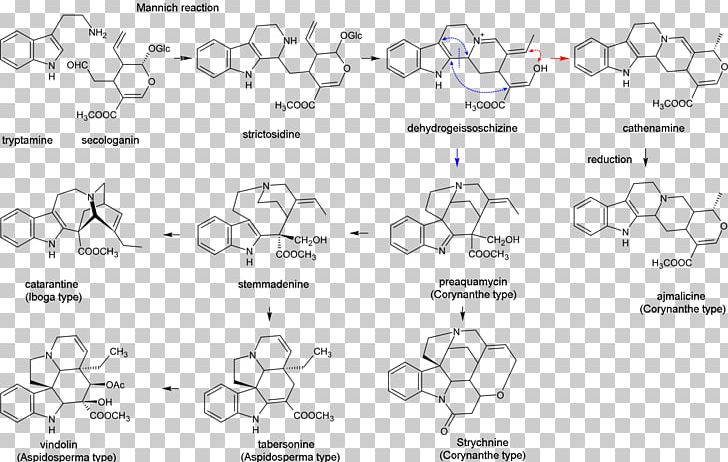 Indole Alkaloid Terpene Terpenoid PNG, Clipart, Alkaloid, Amine, Angle, Area, Auto Part Free PNG Download