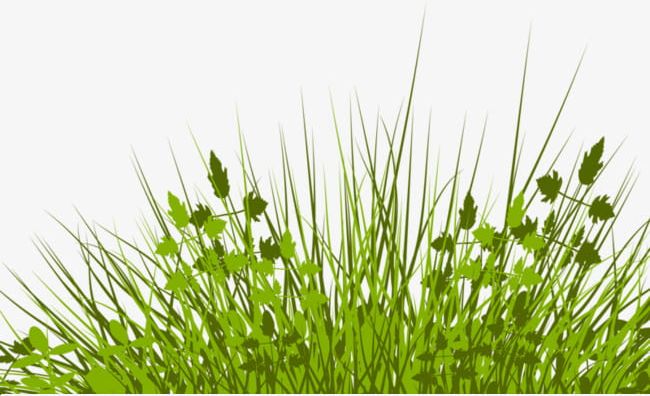 Pretty Grass PNG, Clipart, Grass, Grass Clipart, Green, Pretty, Pretty Clipart Free PNG Download