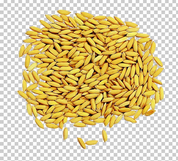 Hybrid Rice Cereal Grain Drying Oryza Sativa PNG, Clipart, Avena, Brown Rice, Caryopsis, Cereal, Crop Free PNG Download