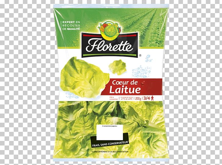 Romaine Lettuce Vegetarian Cuisine Food Basil Pimiento PNG, Clipart, Basil, Bell Pepper, Brand, Endive, Food Free PNG Download
