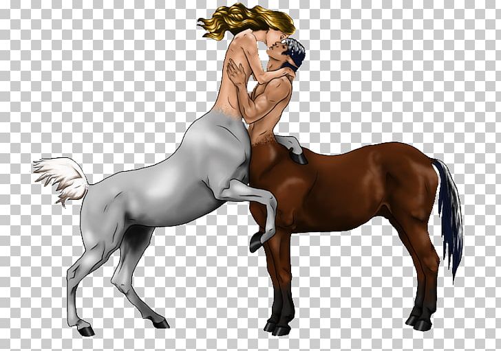 Centaur Horse Drawing Foal PNG, Clipart, Bridle, Couple, Couple Kiss, Deviantart, English Riding Free PNG Download