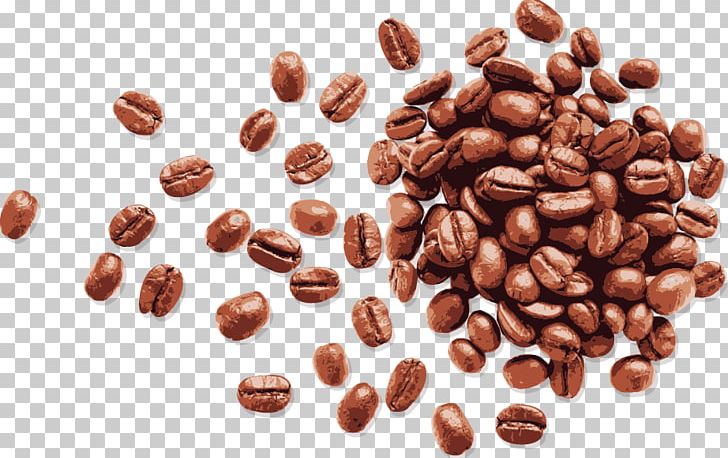 Coffee Bean Espresso PNG, Clipart, Bean, Caffeine, Cocoa Bean, Coffee, Coffee Vector Free PNG Download
