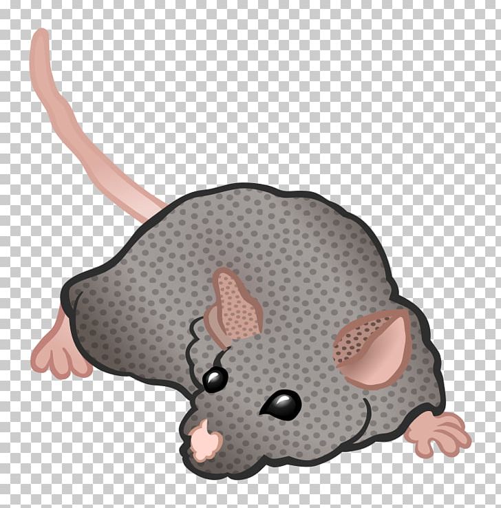 Computer Mouse Rat Rodent PNG, Clipart, Armadillo, Carnivoran, Cartoon, Cat, Cingulata Free PNG Download