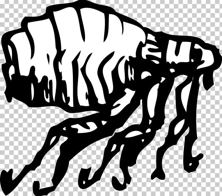 Dog Flea Dog Flea Human Flea PNG, Clipart, Art, Arthropod Mouthparts, Bird Fleas, Black And White, Bubonic Plague Free PNG Download