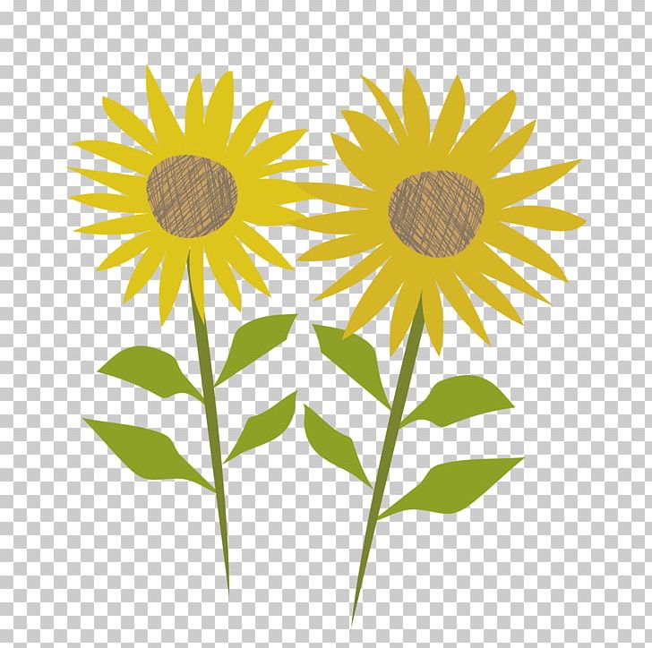 Web Browser Gfycat PNG, Clipart, Animation, Dahlia, Daisy, Daisy Family, Desktop Wallpaper Free PNG Download