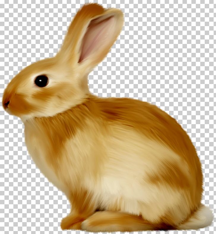 Easter Bunny Hare Rabbit PNG, Clipart, Animal, Animals, Domestic Rabbit, Drawing, Easter Free PNG Download