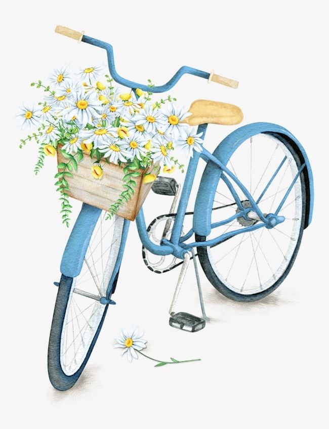 Exquisite Beautiful Flower Baskets Bicycle PNG, Clipart, Basket, Baskets, Baskets Clipart, Beautiful Clipart, Beautifully Free PNG Download