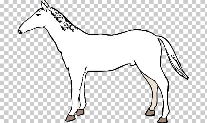 Mule Mustang American Paint Horse American Quarter Horse Mare PNG, Clipart, American Quarter Horse, Bridle, Colt, English Riding, Equestrian Free PNG Download