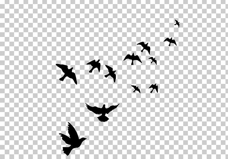 Bird Wall Decal Mural Polyvinyl Chloride PNG, Clipart, Animal Migration, Animals, Beak, Bird Migration, Black And White Free PNG Download
