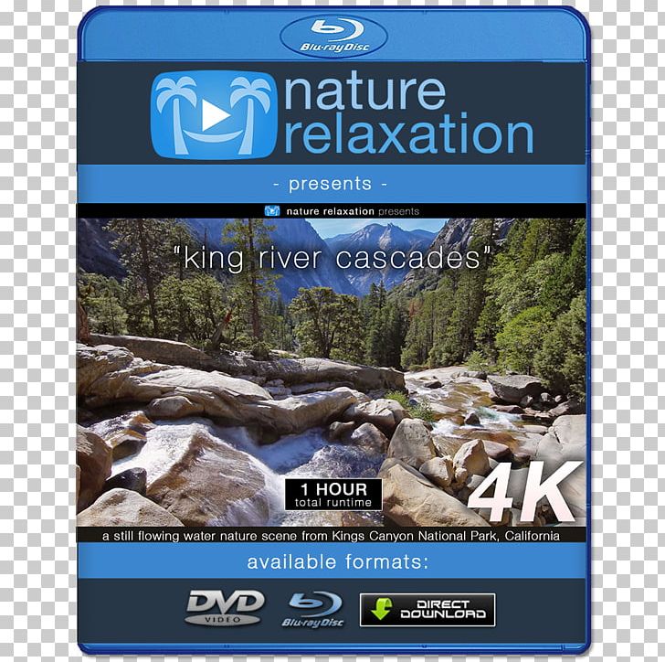 Blu-ray Disc 4K Resolution Ultra-high-definition Television Display Resolution 1080p PNG, Clipart, 4k Resolution, 1080p, Bluray Disc, Desktop Wallpaper, Display Resolution Free PNG Download