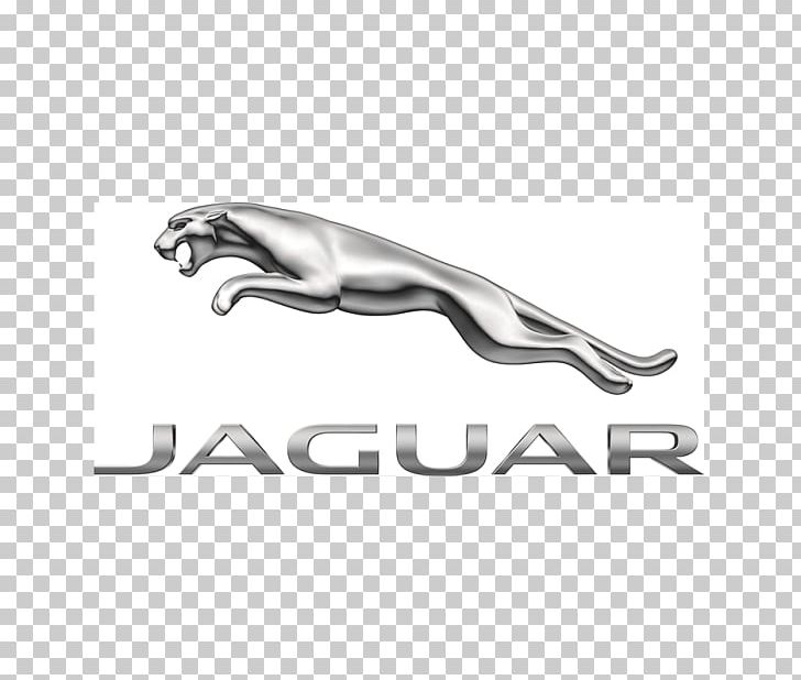 Jaguar Cars Jaguar XJ Jaguar XK PNG, Clipart, Animals, Automotive Design, Auto Part, Black And White, Bmw Free PNG Download