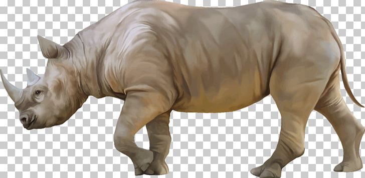 White Rhinoceros Black Rhinoceros PNG, Clipart, Animal, Animal Figure, Black Rhinoceros, Desktop Wallpaper, Document Free PNG Download
