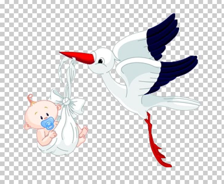 Bird Infant PNG, Clipart, Animal Stork, Art, Baby Announcement, Beak, Bird Free PNG Download