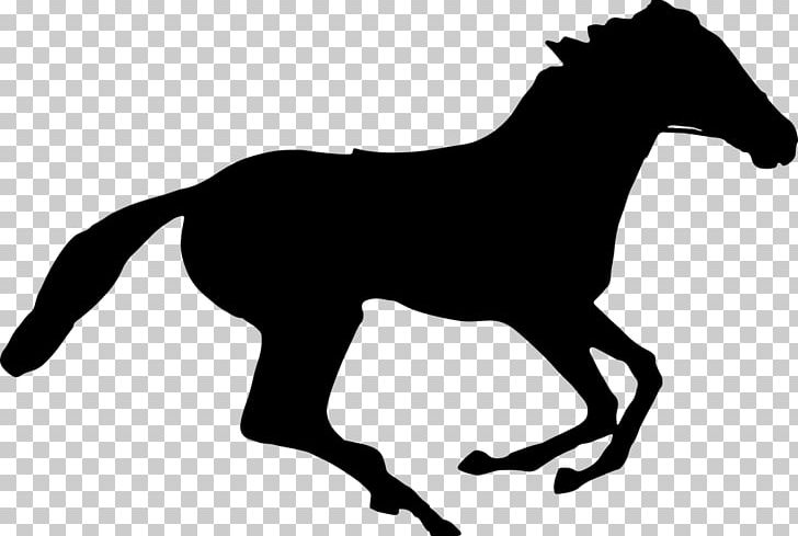 Horse Racing Stallion Jockey Equestrian PNG, Clipart, Animal Figure, Animals, Black, Black And White, Bridle Free PNG Download