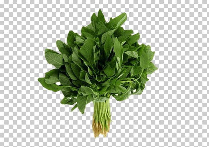 Organic Food Callaloo Vegetable Heirloom Plant Greens PNG, Clipart, Amaranth, Amaranth Grain, Amaranthus, Amaranthus Tricolor, Amaranthus Viridis Free PNG Download
