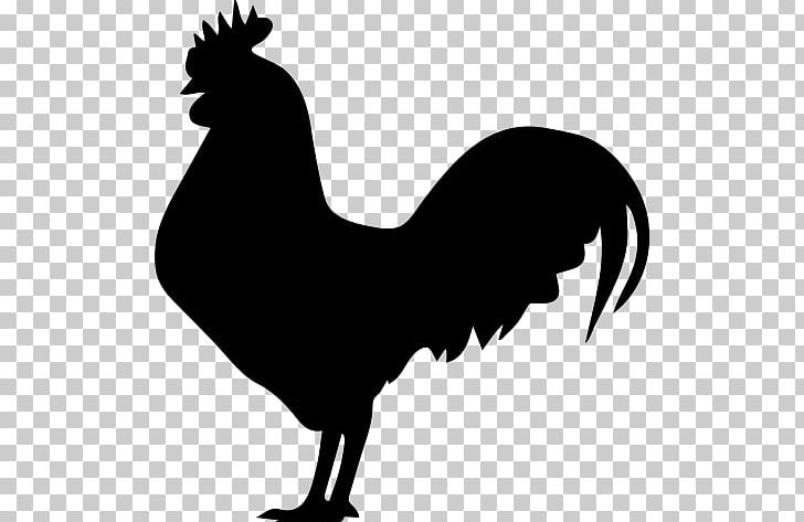 Rooster Silhouette PNG, Clipart, Animals, Beak, Bird, Black And White, Chicken Free PNG Download